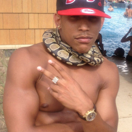 WildassDream